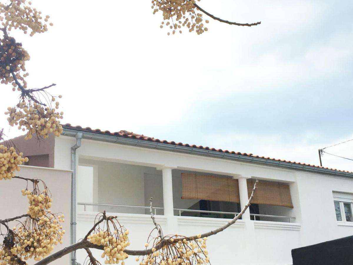 Apartman Luce Daire Bibinje Dış mekan fotoğraf